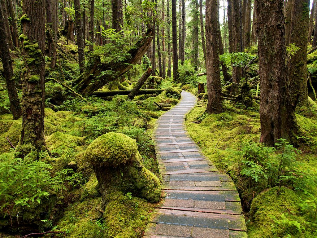 Haida Gwaii - Heaven on Earth