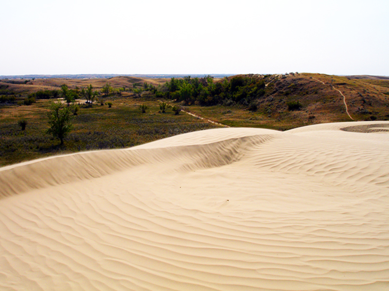 Canada's best kept secrets: Great Sand Hills